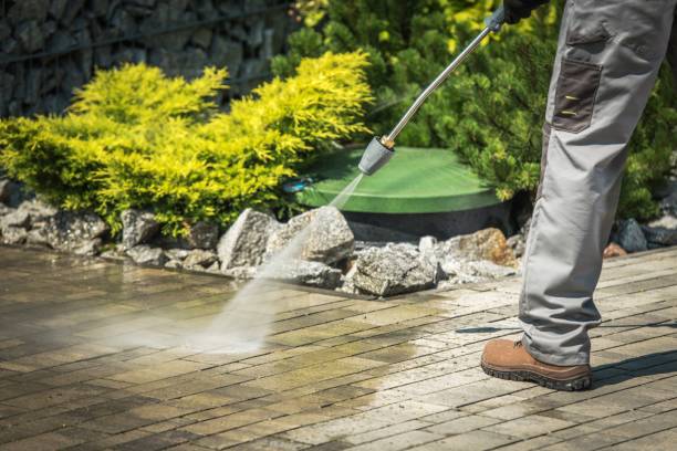 Best Animal Enclosure Cleaning  in Angwin, CA